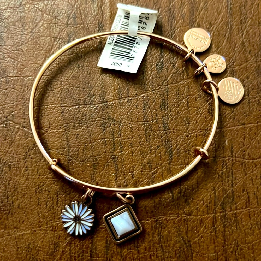 Alex and Ani bracelet NWT
